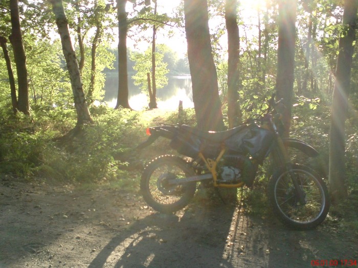 Sachs ZX 50 im Wald