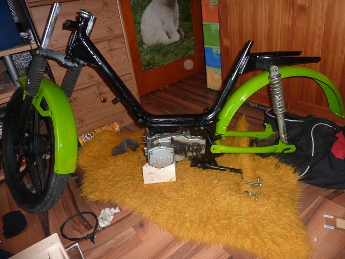 mofa walle 003.JPG